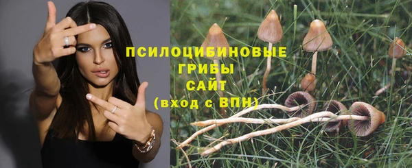 a pvp Баксан