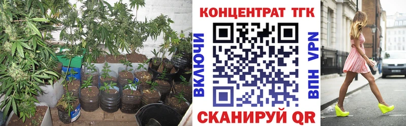 ТГК гашишное масло  купить   Озёры 